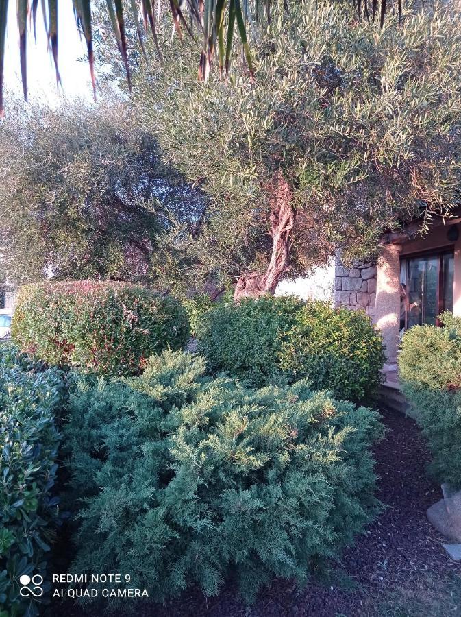Su Forti La Forma Dell'Acqua Bed & Breakfast エクステリア 写真